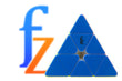 FZ WeiLong Pyraminx Magnetic